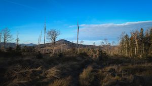 Výlet Krásná Lípa -> Luž -> Jedlová